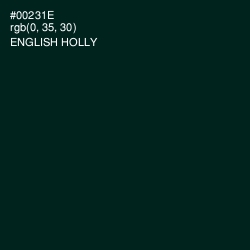 #00231E - English Holly Color Image
